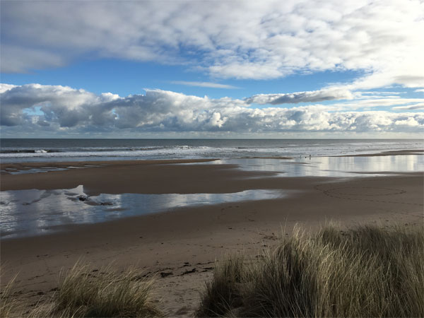 Image for Limestones of Cocklawburn Beach guided walk